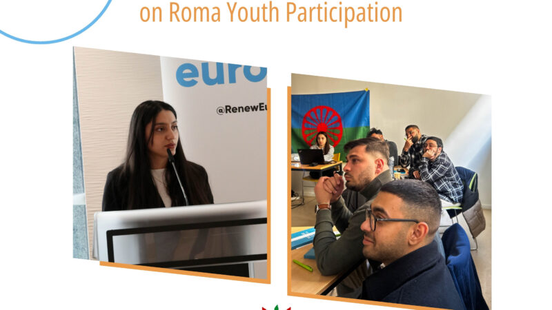 Launching the Roma Youth Participation Dictionary
